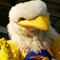 202_SGC8394thumbnail.jpg